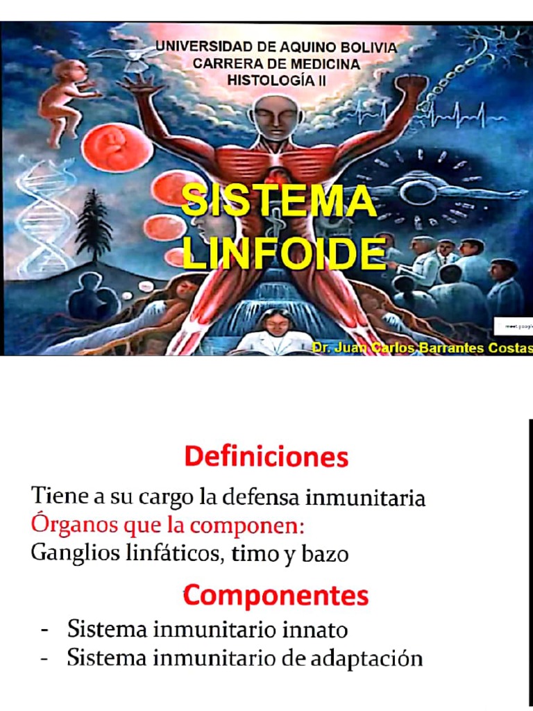 Sistema Linfoide PDF