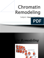 Chromatin Remodeling (1875)