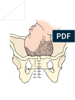 Fetal Station