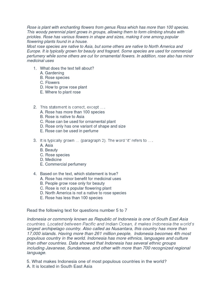 Descriptive Text PDF Rose Plants