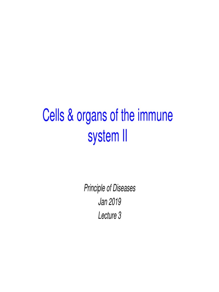 Lecture 3 Cells And Organs Ii Pdf Lymphatic System Lymph Node