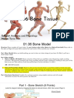 01.06 Bone Tissue - Anatomy and Psychiology - Tania Rao