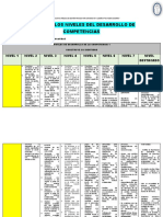 Matriz de Los Niveles Del Desarrollo de Competencias