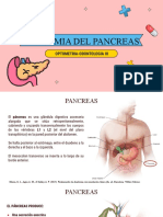 Anatomia Del Pancreas: Optometria-Odontologia III