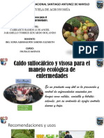 Caldo Sulfocálcico y Visosa para El Control de Plagas y Enfermedades