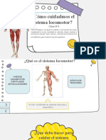 Cuidados Sistema Locomotor