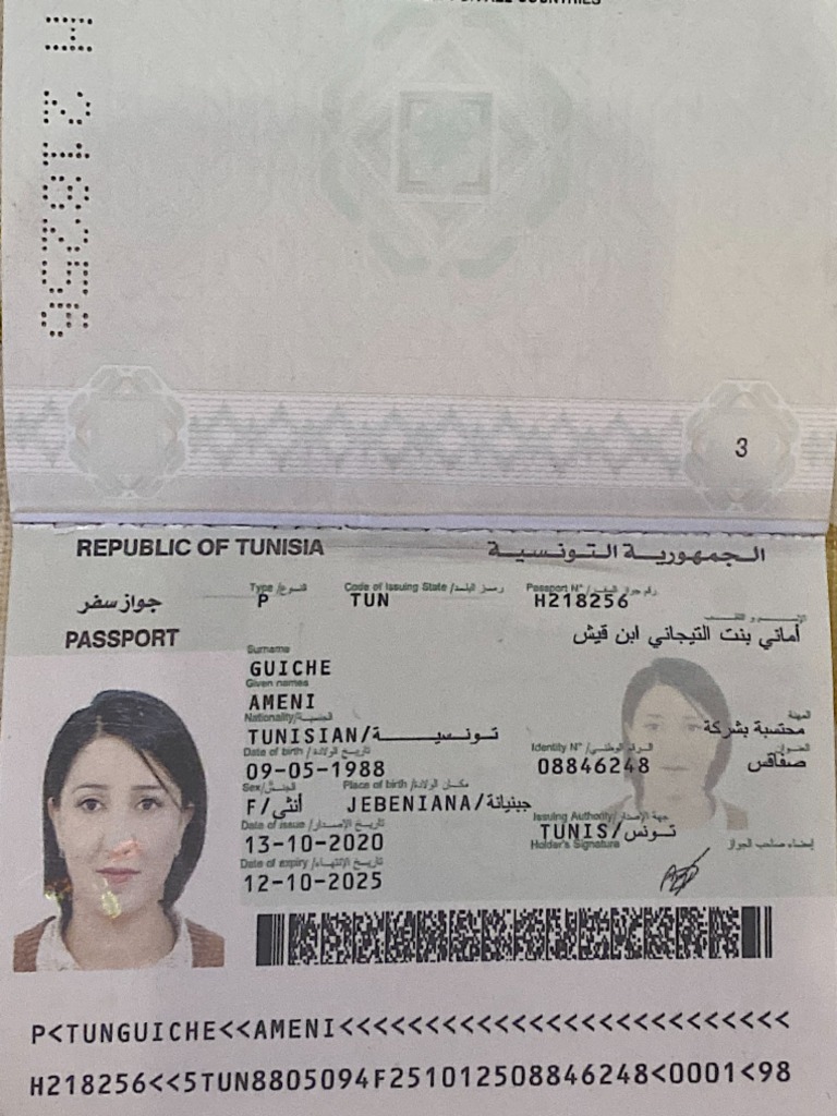 Passport | PDF