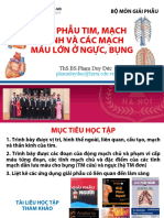 Giải Phẫu Tim, Mạch Vành Và Các Mạch Máu Lớn Ở Ngực, Bụng