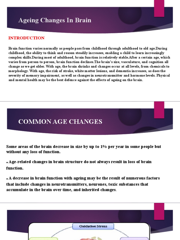 Which Change Happens to the Brain During Senescence-Aging Process Explained