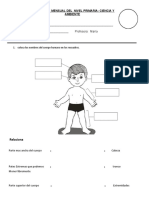 Evaluación Mensual Del Nivel Primaria: Ciencia Y Ambiente: 1. Coloca Los Nombres Del Cuerpo Humano en Los Recuadros