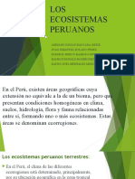 Ecorregiones de los ecosistemas peruanos