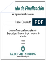 Rafael Guardado: Seguridad para Escaleras Simple y Escaleras de Extension