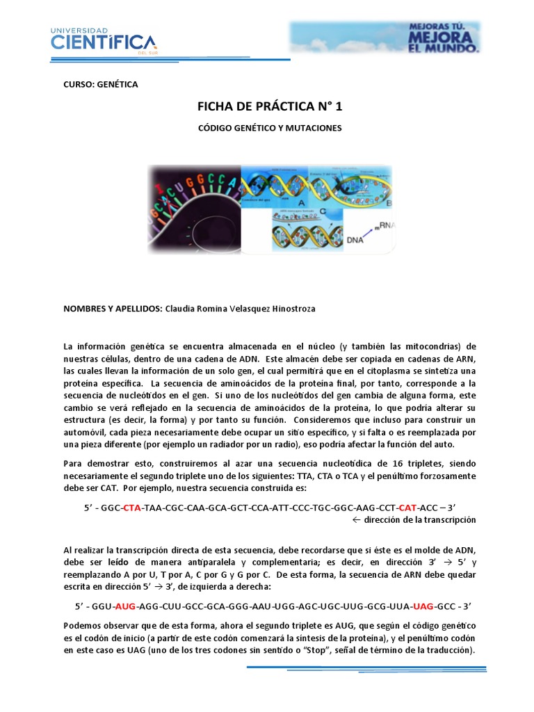 2-Ficha de Práctica 1-Código Genético y Mutaciones | PDF | Codigo ...