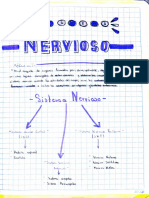 Apunte Sobre Sistema Nervioso