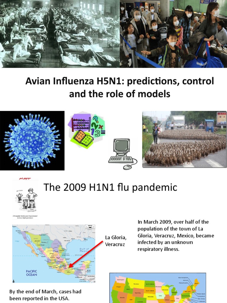 H5N1 Avian Influenza Control Models | PDF | Influenza A Virus Subtype ...
