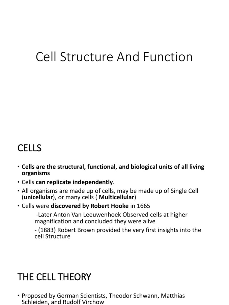 Understanding Prokaryotic Cell Structure | PDF | Cell (Biology ...
