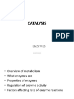 Enzymes and Metabolism Guide