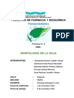 Informe 9