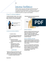 Sistema Linfático Anatomia