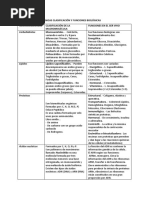 Clasificacion de Macro y Micro Moleculas