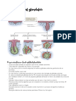 Tecido Epitelial Glandular