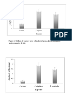 Figura 1. Gráfico de Barras y Error Estándar Del Promedio de La Longitud en Tres Especies de Iris