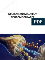 Neurotransmisores y neuromoduladores: tipos y mecanismos