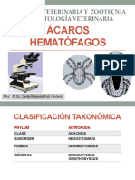 Ácaros Hematófagos - CV