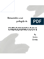 Portafolio de Endocrino