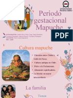 Periodo Gestacional Mapuche Obste