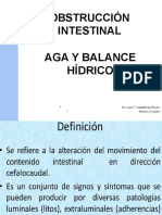 Obstrucción Intestinal: Aga Y Balance Hídrico