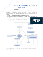 Alteraciones en Metabolismo de Calcio y Fosforo