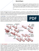 Bacteriófagos