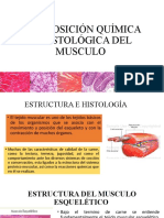 Composición Histologica Del Músculo