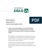 Derecho Ambiental Trabajo Practico 1 Palombi