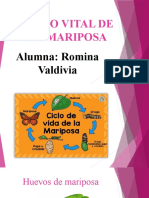 Ciclo Vital de La Mariposa: Alumna: Romina Valdivia
