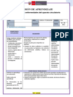 Sesión de Aprendizaje: Prevenimos Enfermedades Del Aparato Circulatorio