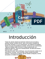 Canal Iónico: Propiedades, Función y Alteraciones Clínicas