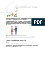 Definicio y Procesos Por Dentro Del Catabolismo y Anabolismo