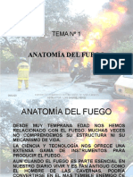 Anatomía Del Fuego