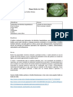 Planta Boldo Do Chile: Nome Cientifico: Peumus Boldus Molina Monimiaceae Toxicidade: Alta