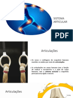 Sistema Articular