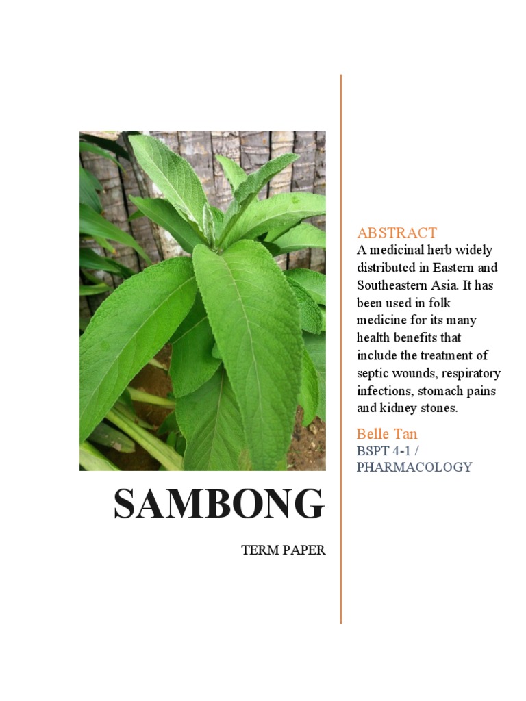  sambong medicinal plant pdf hypertension clinical medicine
