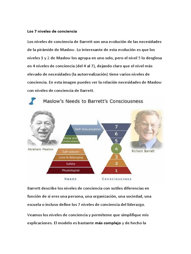 7 Niveles de Conciencia de Barrett | PDF | Felicidad | Conceptos ...