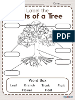 Parts of A Tree Worksheet