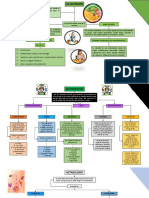 Mapas conceptuales nutricion 