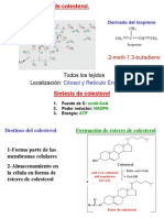 Biosíntesis Del Colesterol