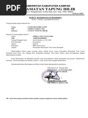 Semiz ayollarning semiz mushuklari