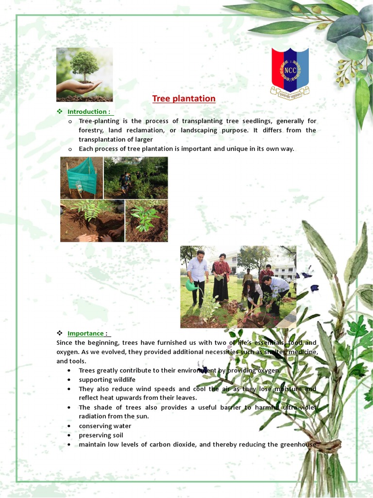 tree-planting-project-pdf-trees-plants