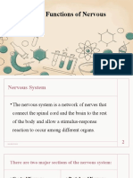 Coordinated Functions of Nervous System